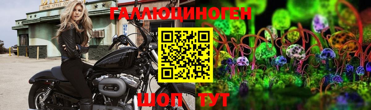 Галлюциногенные грибы Magic Shrooms Назрань